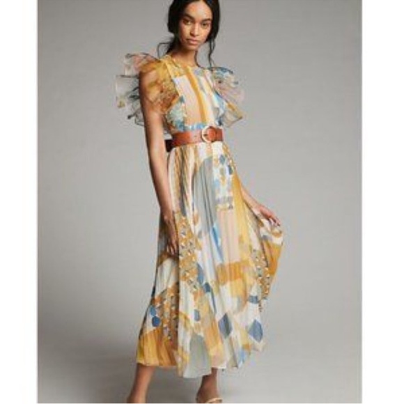 Anthropologie Dresses & Skirts - PANKAJ & NIDHI Norma Pleated Maxi Dress 4P